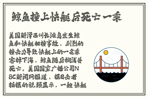 7x7x7x任意槽2023进口